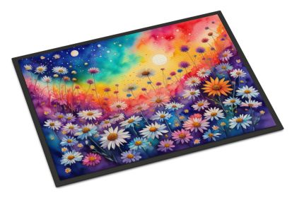 Asters in Color Doormat Front Door Mat Indoor Outdoor Rugs for Entryway, Non Slip Washable Low Pile, 24H X 36W