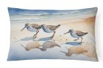 Birds, Birds, Birds Throw Pillow Throw Pillow for Indoor Couch Bed Outdoor Patio Washable, Sandpipers 7528,12Hx16W