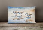 Birds, Birds, Birds Throw Pillow Throw Pillow for Indoor Couch Bed Outdoor Patio Washable, Sandpipers 7528,12Hx16W