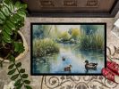 Ducks by the Pond Doormat Front Door Mat Indoor Outdoor Rugs for Entryway, Non Slip Washable Low Pile, 24H X 36W