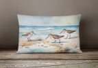 Birds, Birds, Birds Throw Pillow Throw Pillow for Indoor Couch Bed Outdoor Patio Washable, Sandpipers 7526,12Hx16W