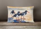 Birds, Birds, Birds Throw Pillow Throw Pillow for Indoor Couch Bed Outdoor Patio Washable, Oystercatchers Foraging 7523,12Hx16W