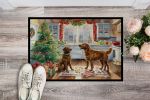 Chesapeake Bay Retriever Christmas Cookies Doormat Front Door Mat Indoor Outdoor Rugs for Entryway, Non Slip Washable Low Pile, 24H X 36W