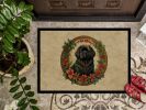 Newfoundland Christmas Flowers Doormat Front Door Mat Indoor Outdoor Rugs for Entryway, Non Slip Washable Low Pile, 24H X 36W