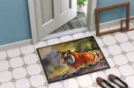 Bengal Tiger Doormat Front Door Mat Indoor Outdoor Rugs for Entryway, Non Slip Washable Low Pile, 24H X 36W