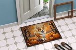 Corgi Fall Doormat Front Door Mat Indoor Outdoor Rugs for Entryway, Non Slip Washable Low Pile, 24H X 36W