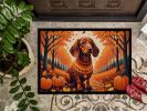 Dachshund Fall Doormat Front Door Mat Indoor Outdoor Rugs for Entryway, Non Slip Washable Low Pile, 24H X 36W