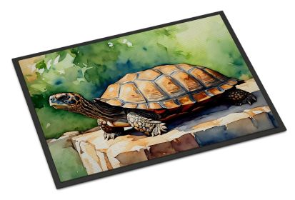 Turtles Tortoises Doormat Front Door Mat Indoor Outdoor Rugs for Entryway, Non Slip Washable Low Pile, 24H X 36W (Default: Default)