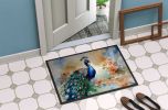 Peacock Doormat Front Door Mat Indoor Outdoor Rugs for Entryway, Non Slip Washable Low Pile, 24H X 36W