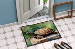 Turtles Tortoises Doormat Front Door Mat Indoor Outdoor Rugs for Entryway, Non Slip Washable Low Pile, 24H X 36W